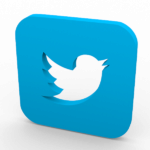 Twitter Logo Icon